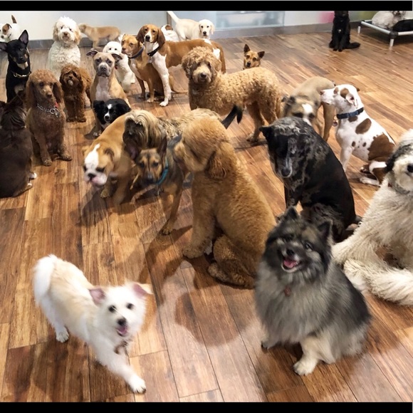 Meet your Posher, Kathleen - Picture 5 of 5